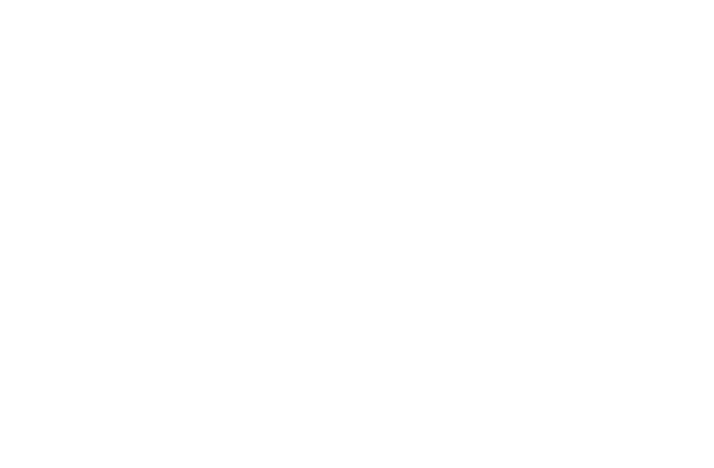 LevelUp_lockup_RGB_white_EN